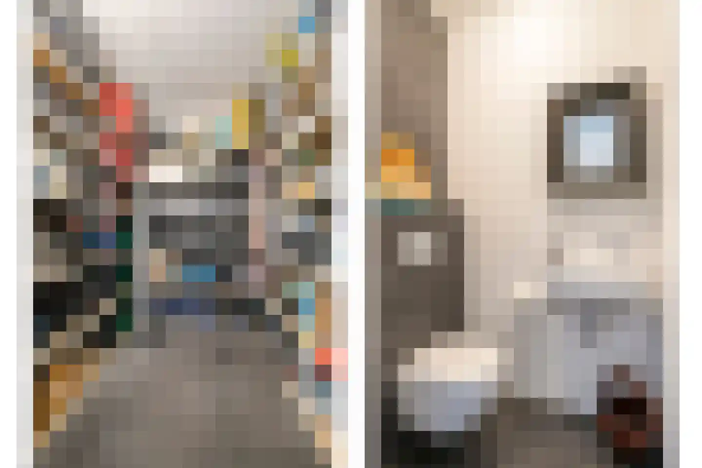 Ir Kalffstraat 313 Eindhoven thumbnail 16