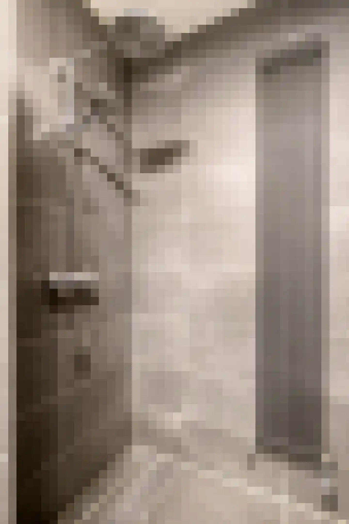 Ir Kalffstraat 313 Eindhoven thumbnail 29