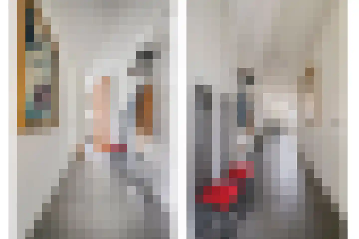Ir Kalffstraat 313 Eindhoven thumbnail 7