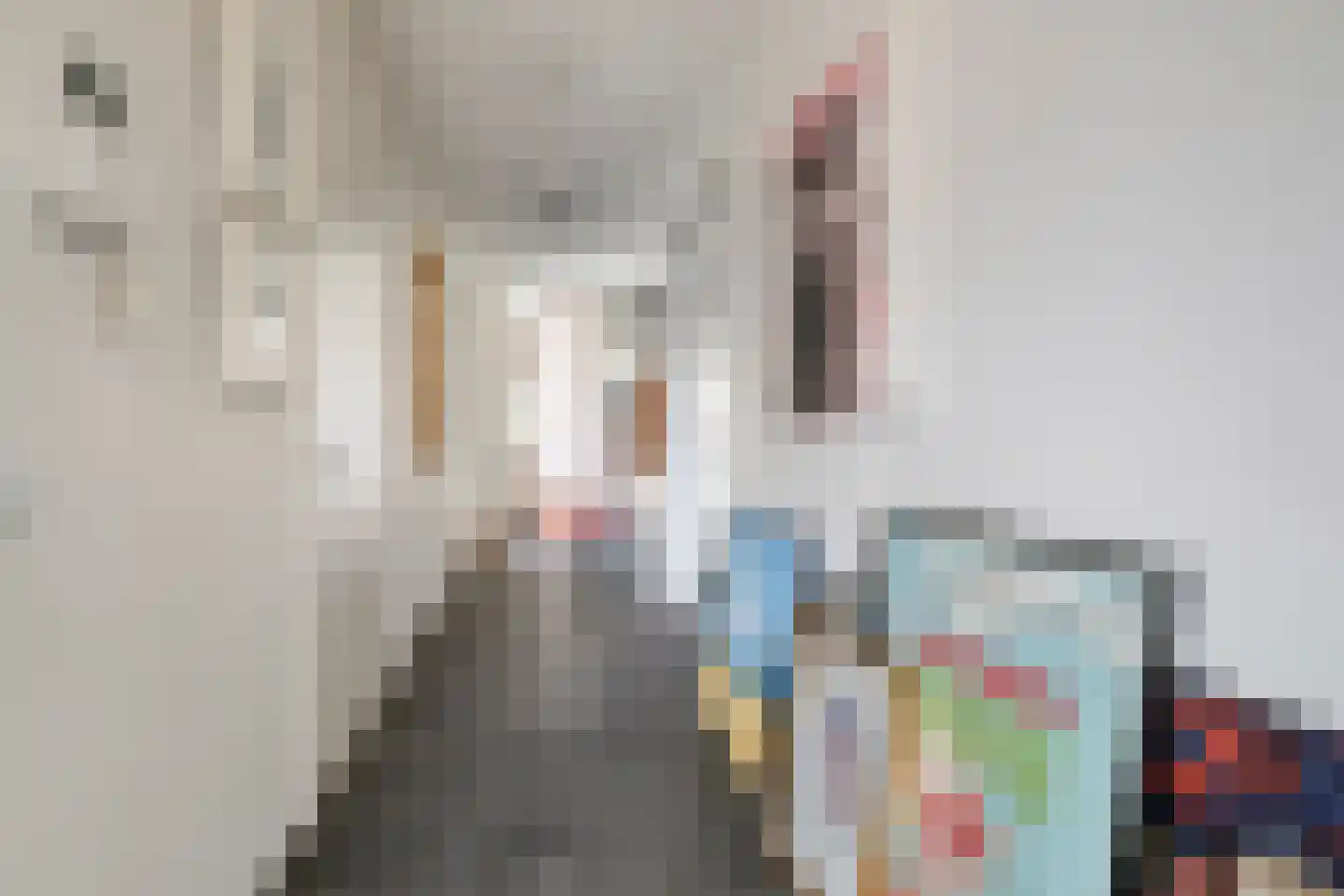 Ir Kalffstraat 313 Eindhoven thumbnail 8