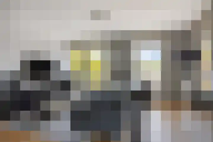 Ir. Kippermanstraat 16 Tilburg thumbnail 15