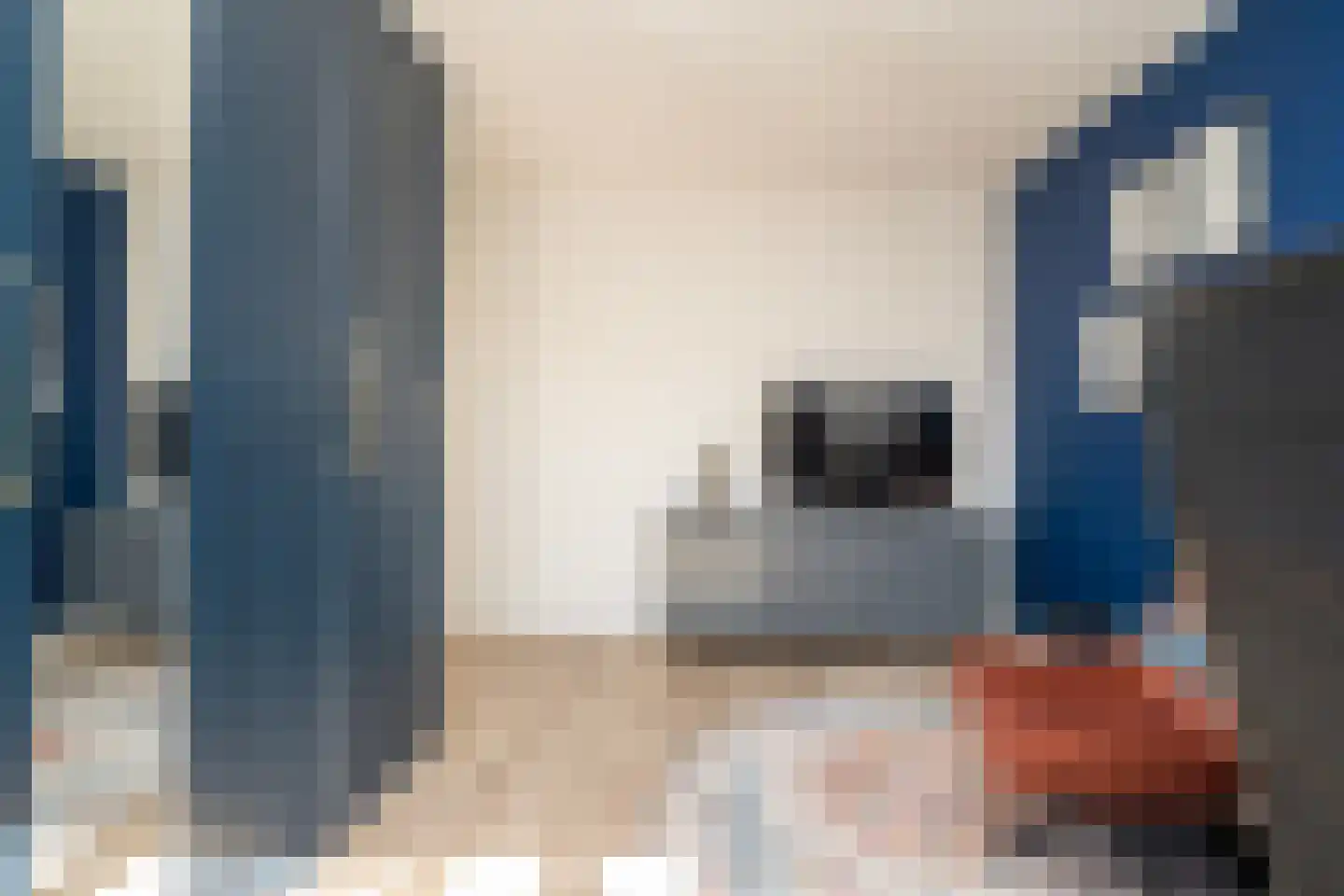 Ir. Kippermanstraat 19 Tilburg thumbnail 37
