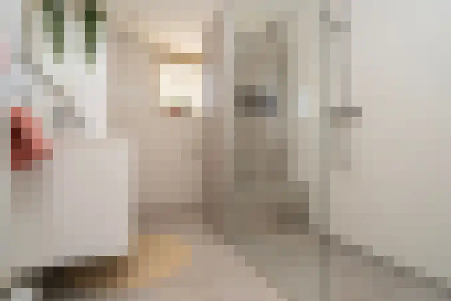 Ir. Kippermanstraat 19 Tilburg thumbnail 42