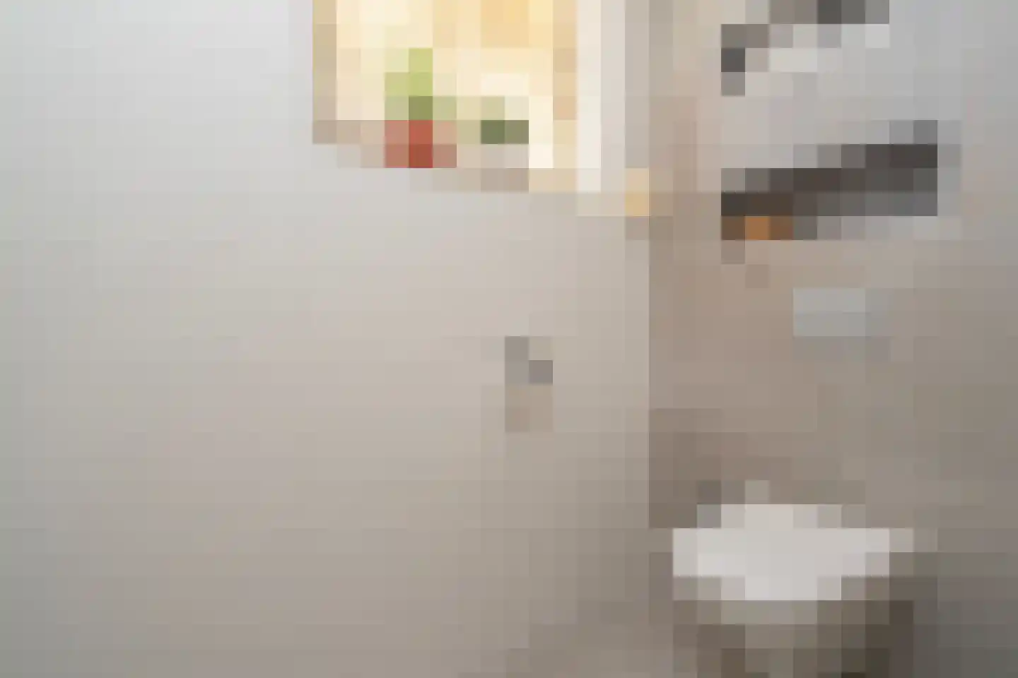 Ir. Kippermanstraat 19 Tilburg thumbnail 43