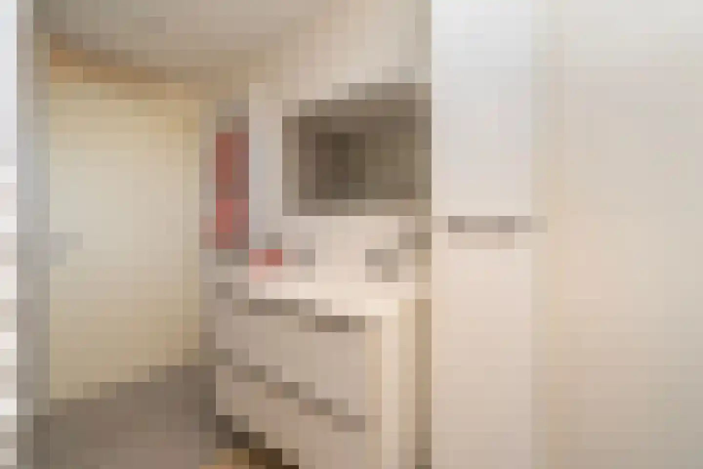 Ir. Kippermanstraat 19 Tilburg thumbnail 45
