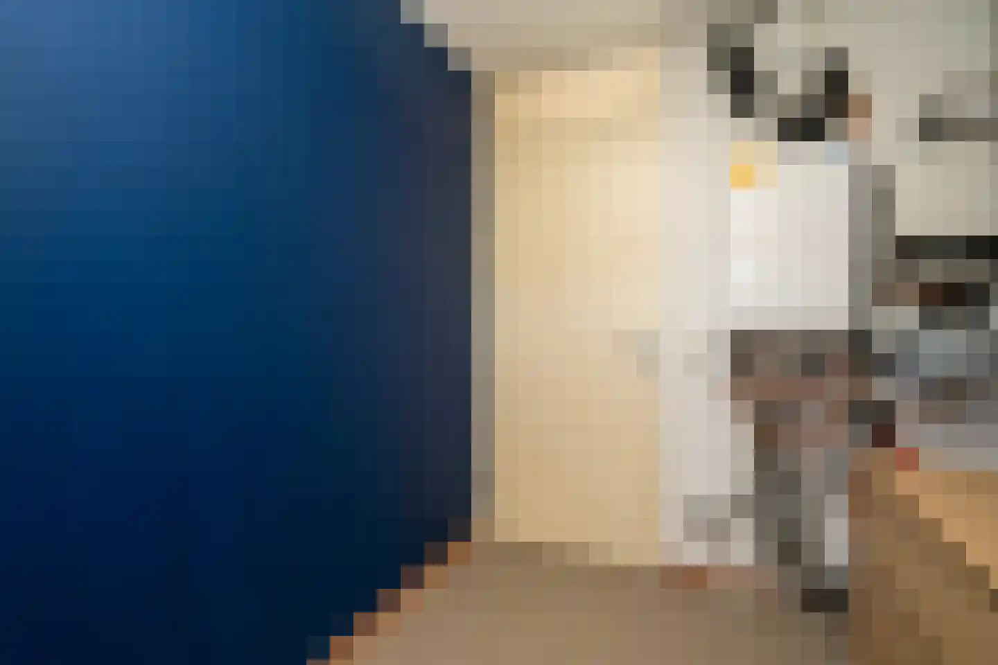 Ir. Kippermanstraat 19 Tilburg thumbnail 58