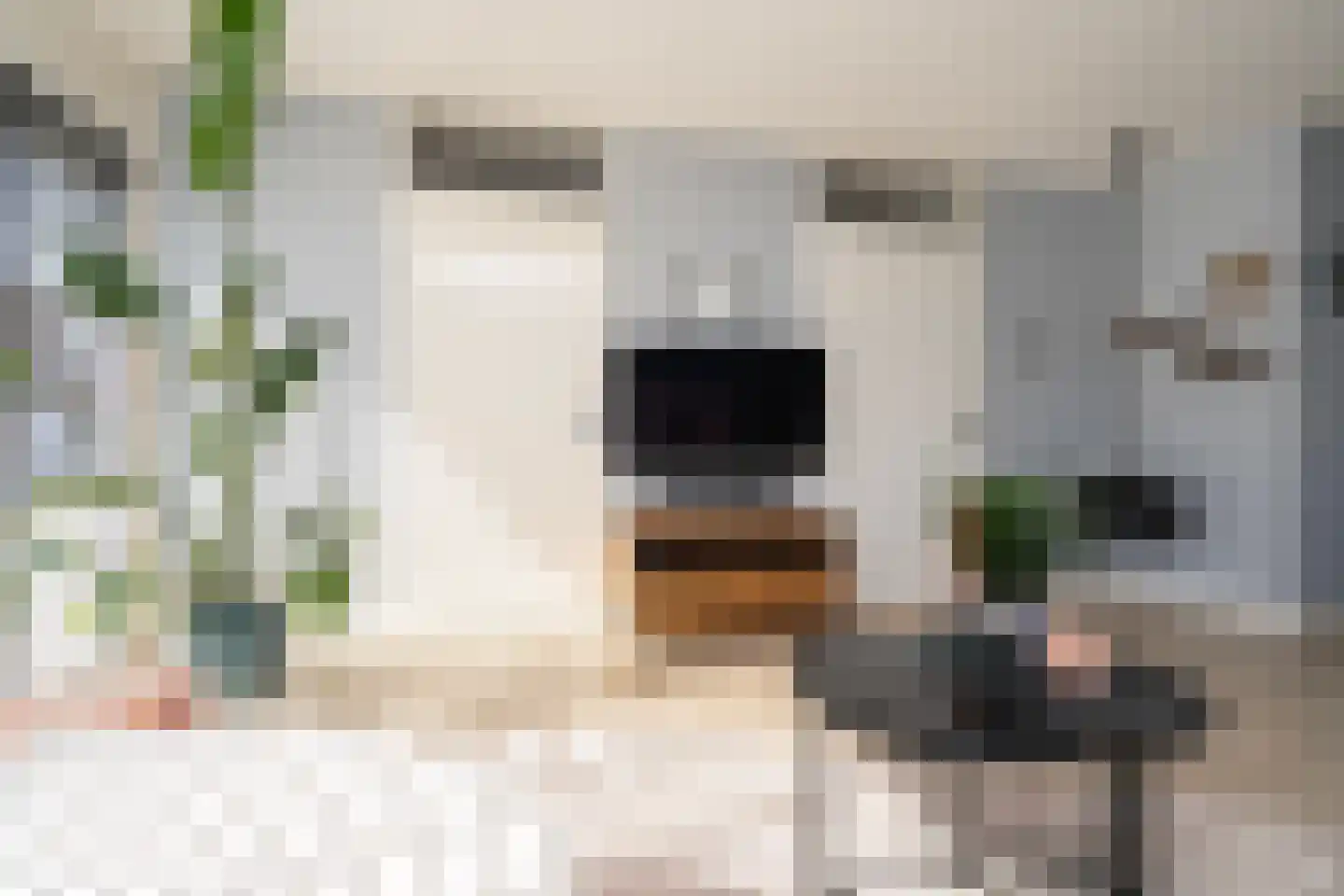Ir. Kippermanstraat 19 Tilburg thumbnail 9