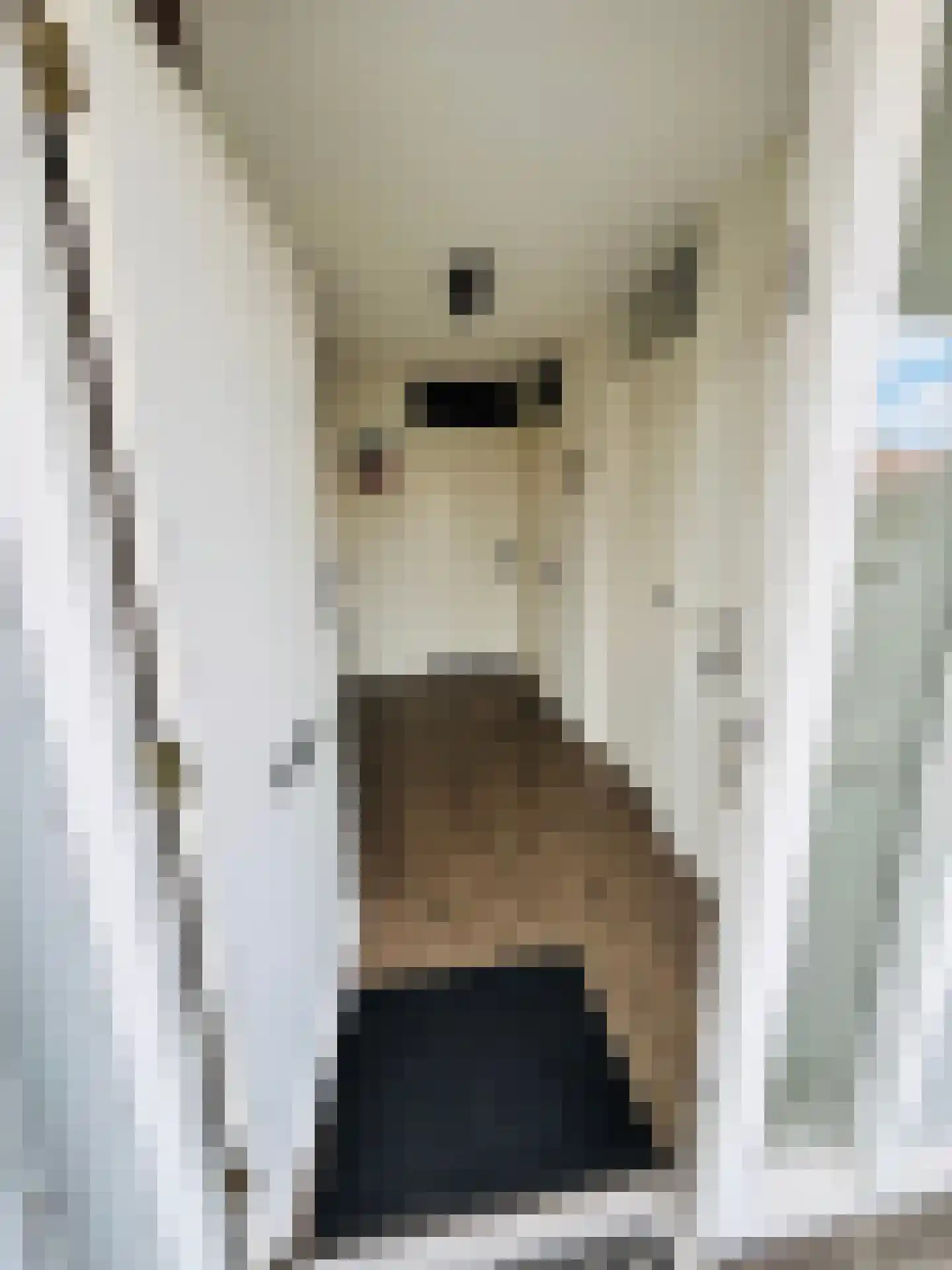 Ir. Kippermanstraat 20 Tilburg thumbnail 13