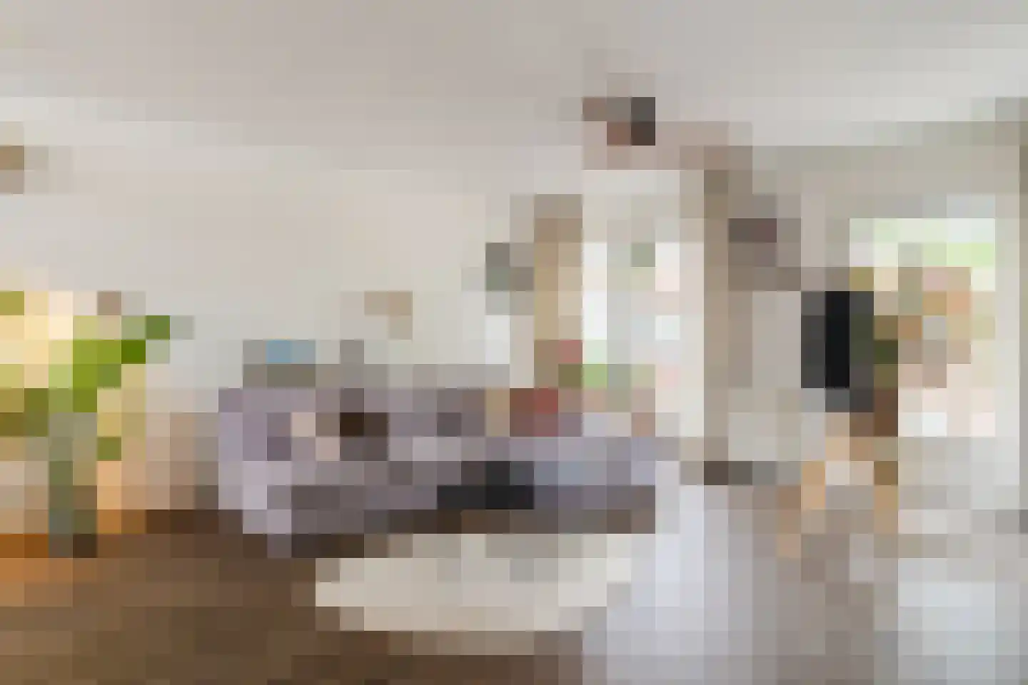 Ir. Kippermanstraat 20 Tilburg thumbnail 15
