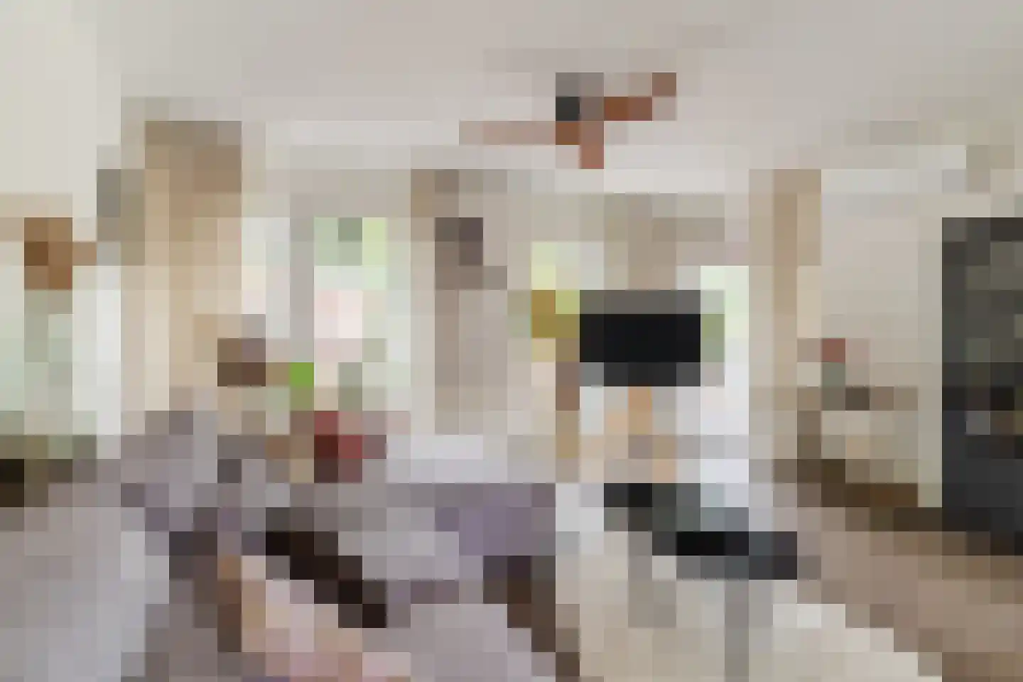 Ir. Kippermanstraat 20 Tilburg thumbnail 19
