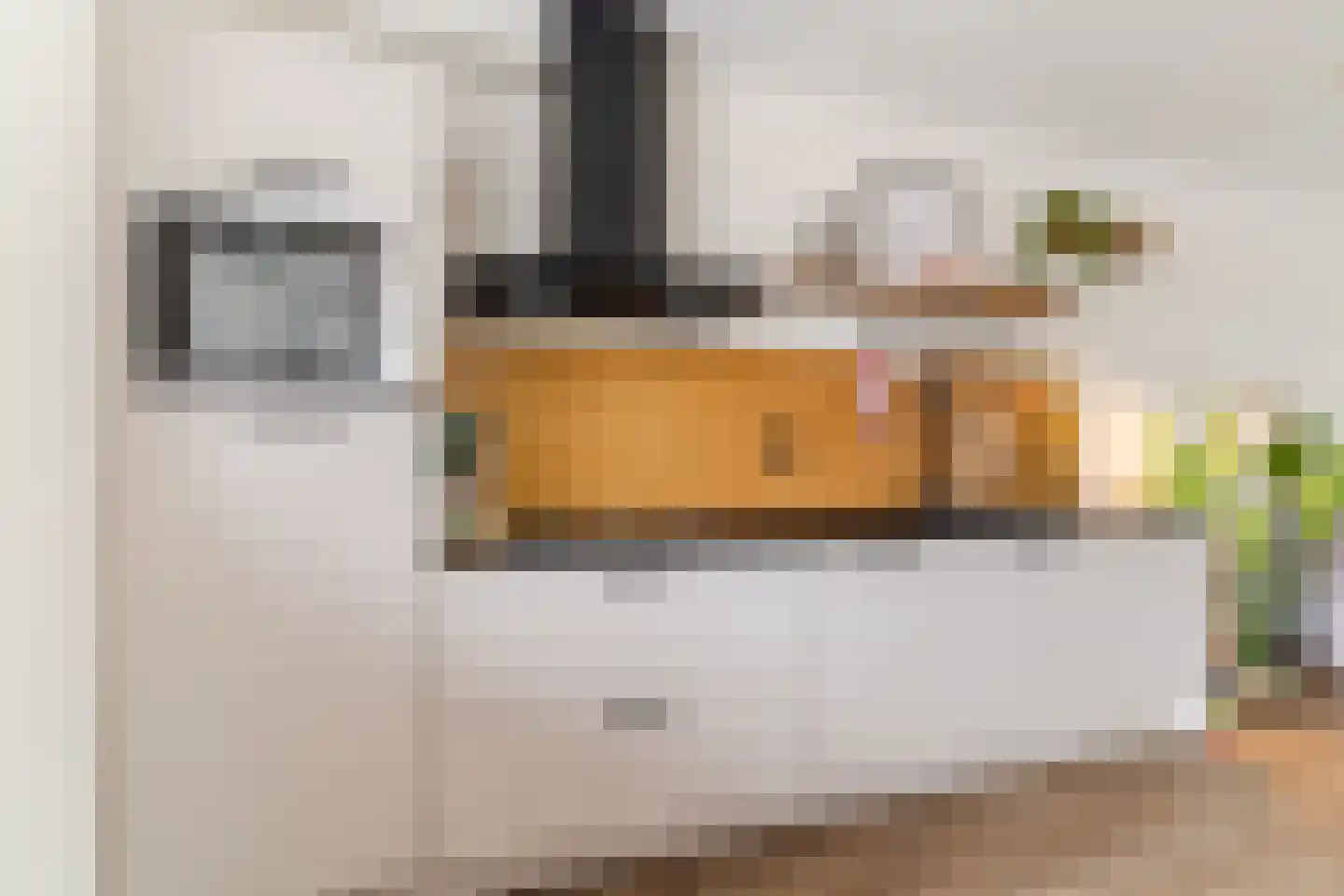 Ir. Kippermanstraat 20 Tilburg thumbnail 22