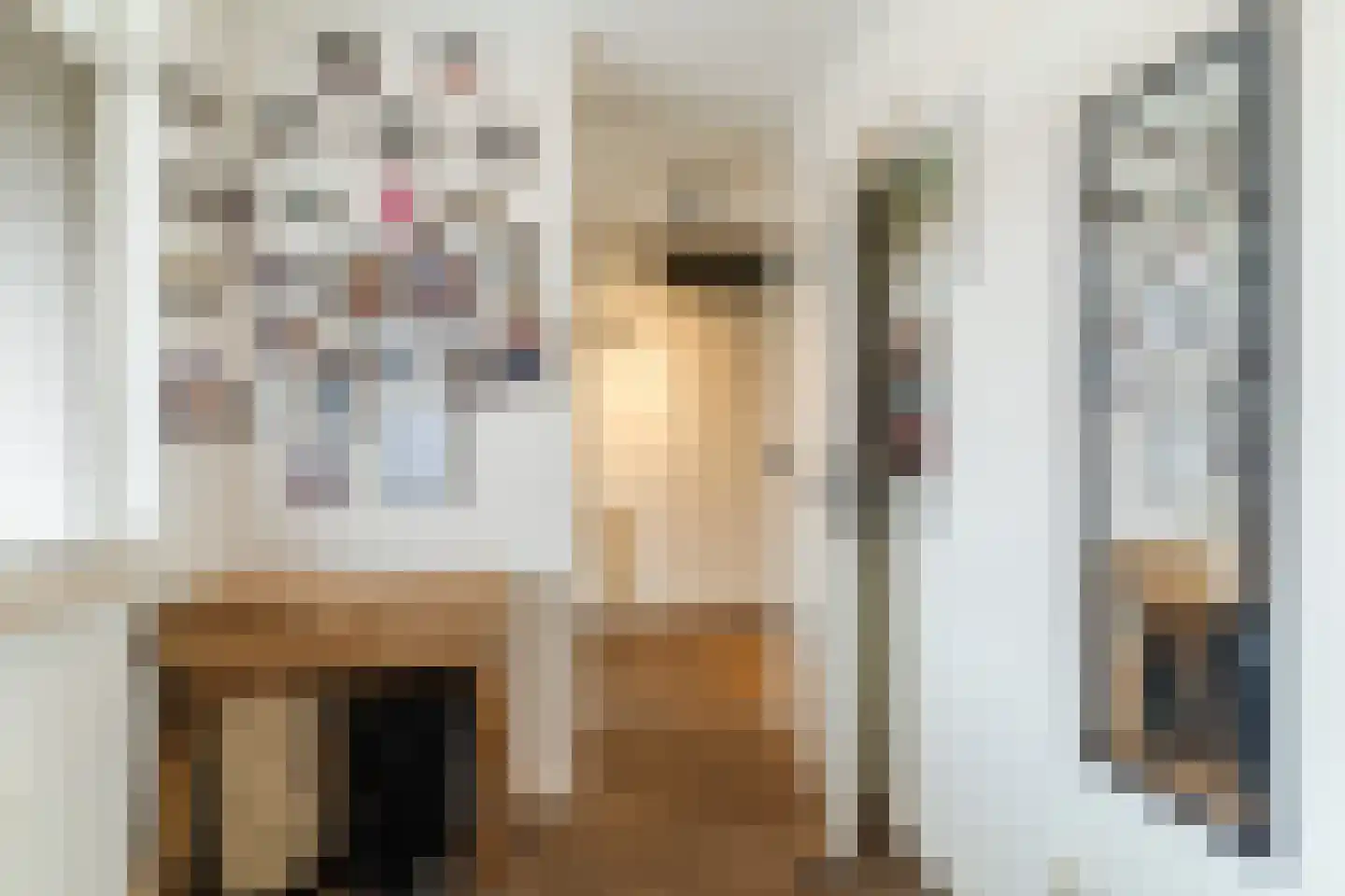 Ir. Kippermanstraat 20 Tilburg thumbnail 27