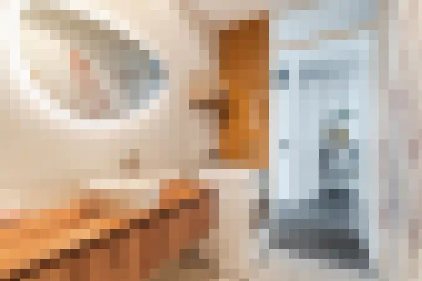 Ir. Kippermanstraat 20 Tilburg thumbnail 31