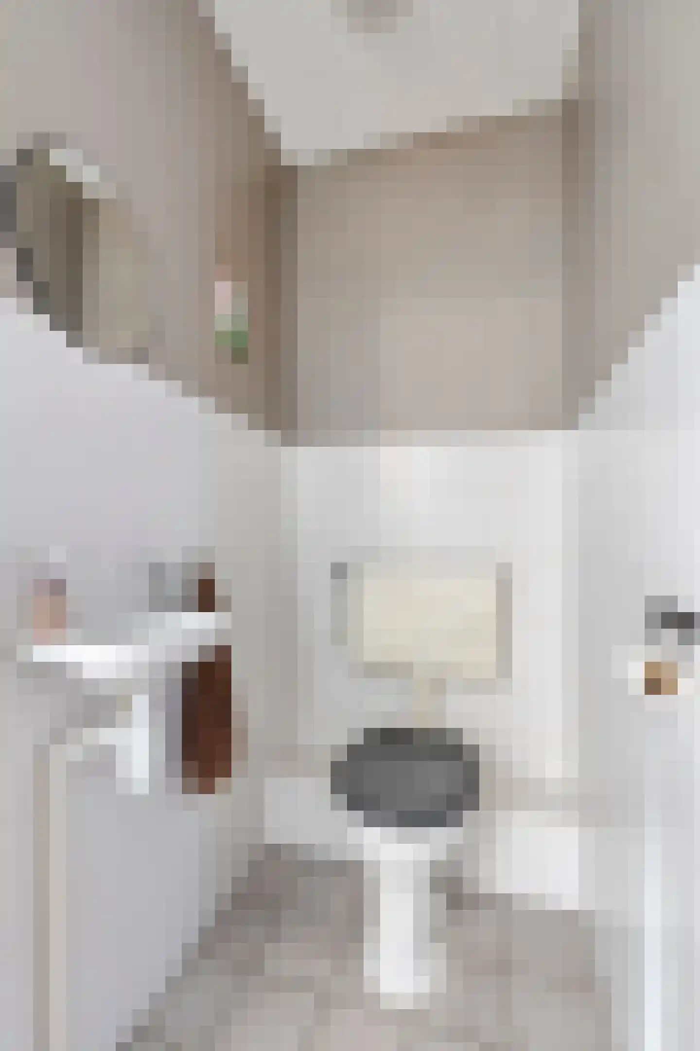 Ir. Kippermanstraat 30 Tilburg thumbnail 11