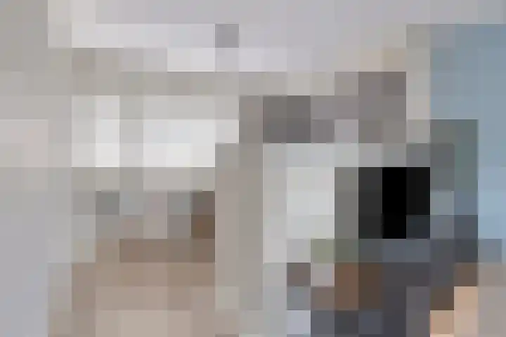 Ir. Kippermanstraat 30 Tilburg thumbnail 18