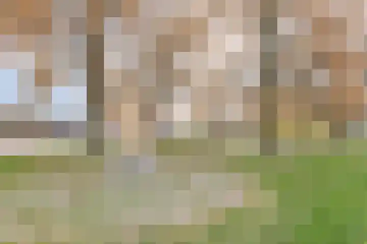 Ir. Kippermanstraat 30 Tilburg thumbnail 37