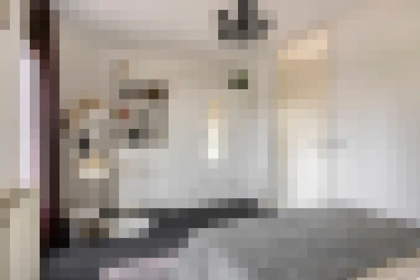 Ir. Kippermanstraat 42 Tilburg thumbnail 16