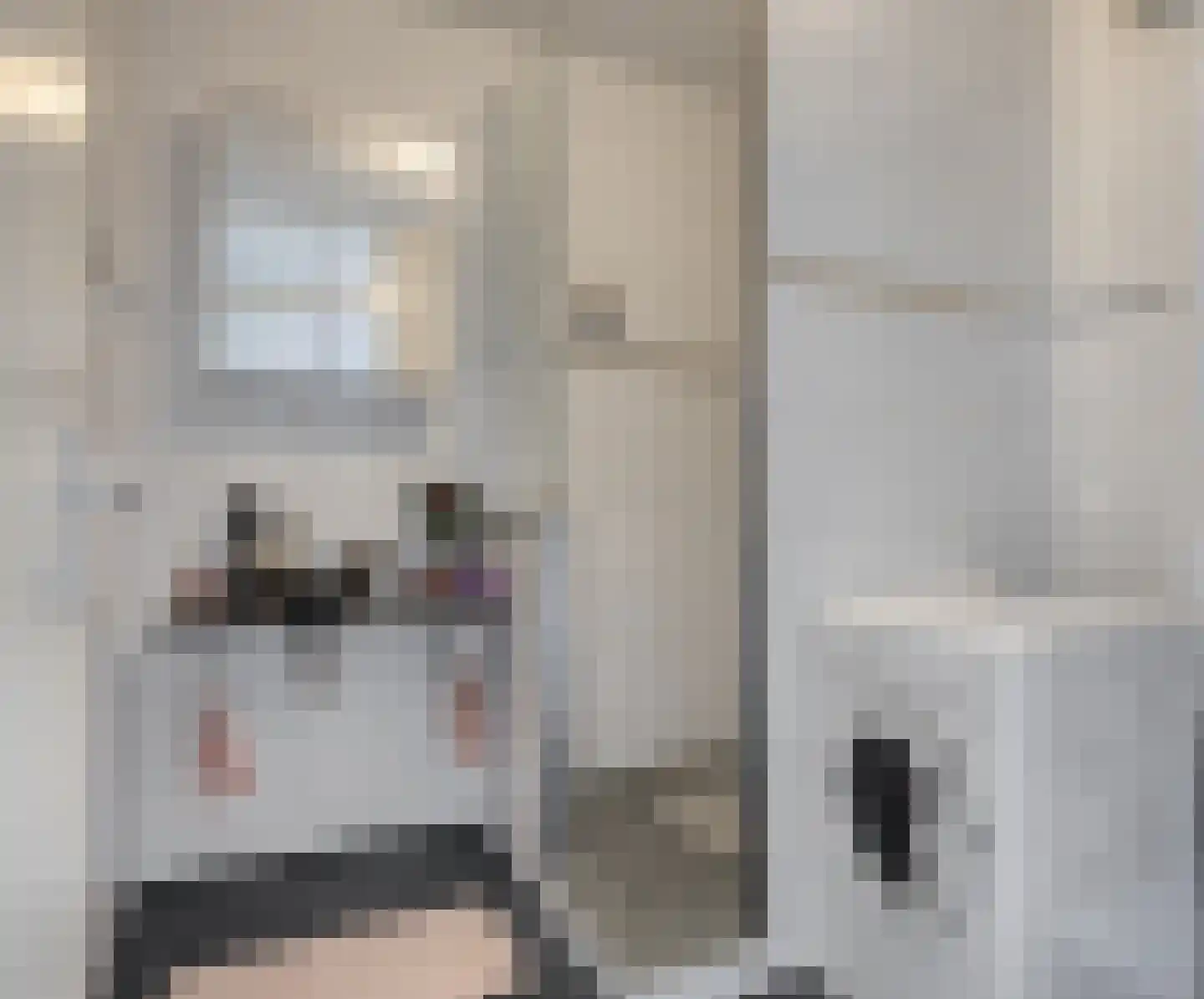 Ir. Kippermanstraat 42 Tilburg thumbnail 30