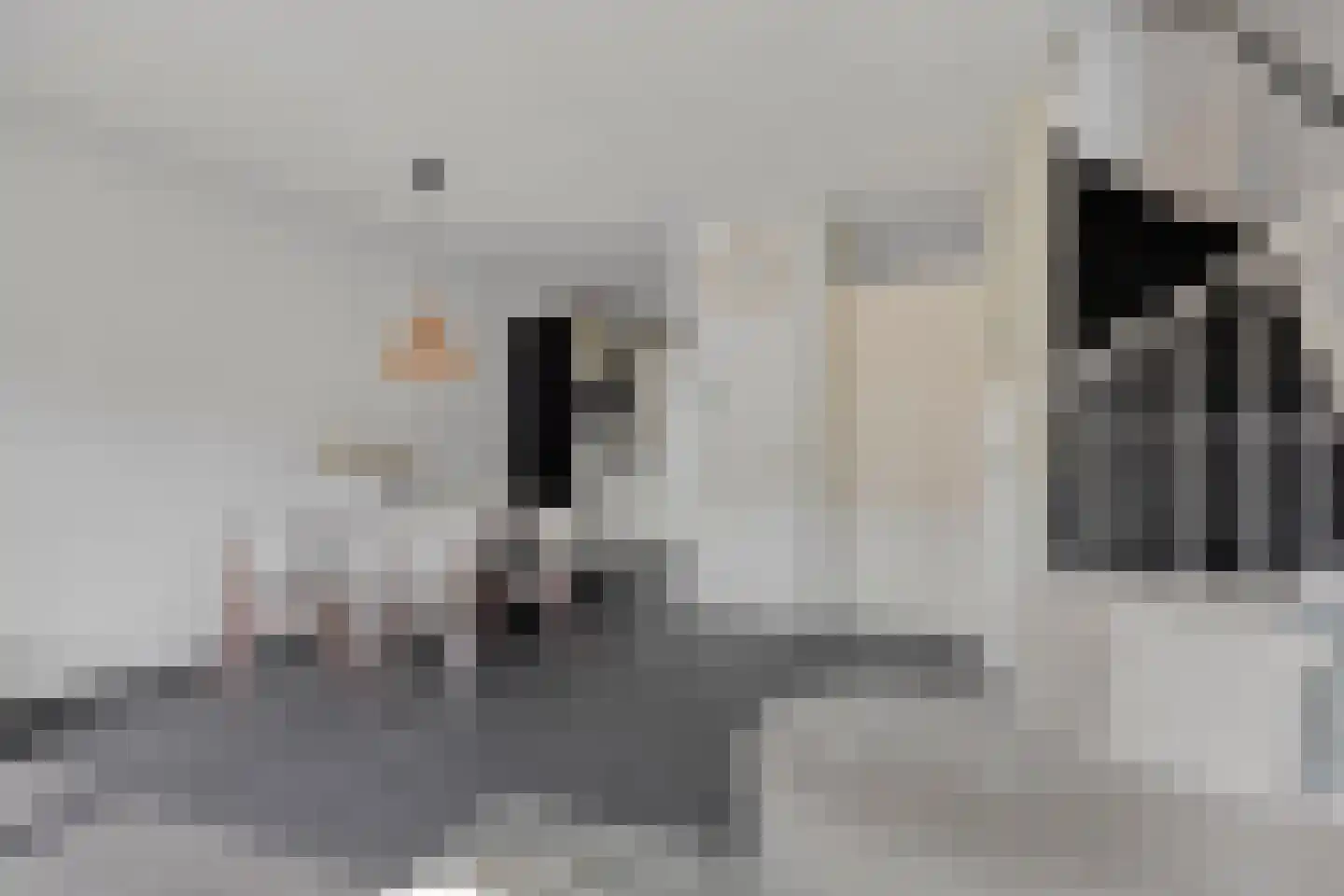 Ir. Kippermanstraat 42 Tilburg thumbnail 8
