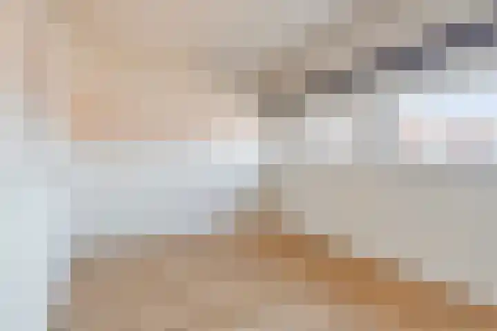 Ir. Kippermanstraat 48 Tilburg thumbnail 22