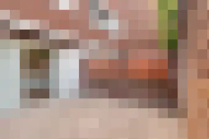 Ir. Kippermanstraat 48 Tilburg thumbnail 26