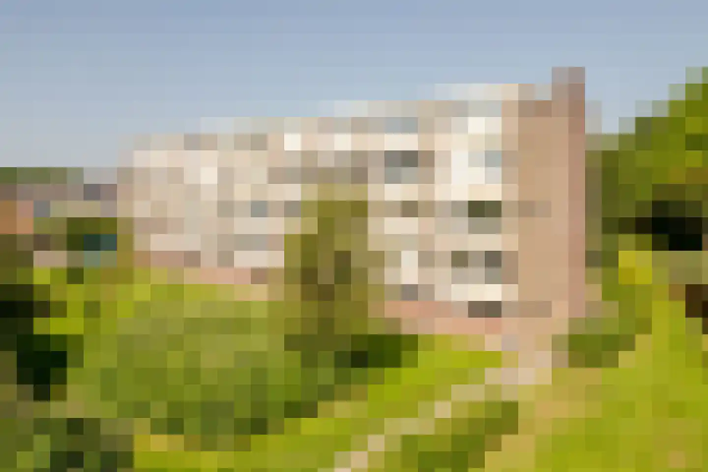 Ir Leemansstraat 11 in Nieuwerkerk aan den IJssel