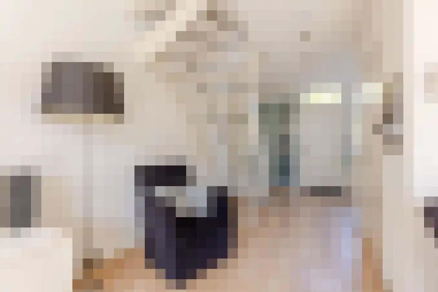Ir Leemansstraat 11 Nieuwerkerk aan den IJssel thumbnail 17