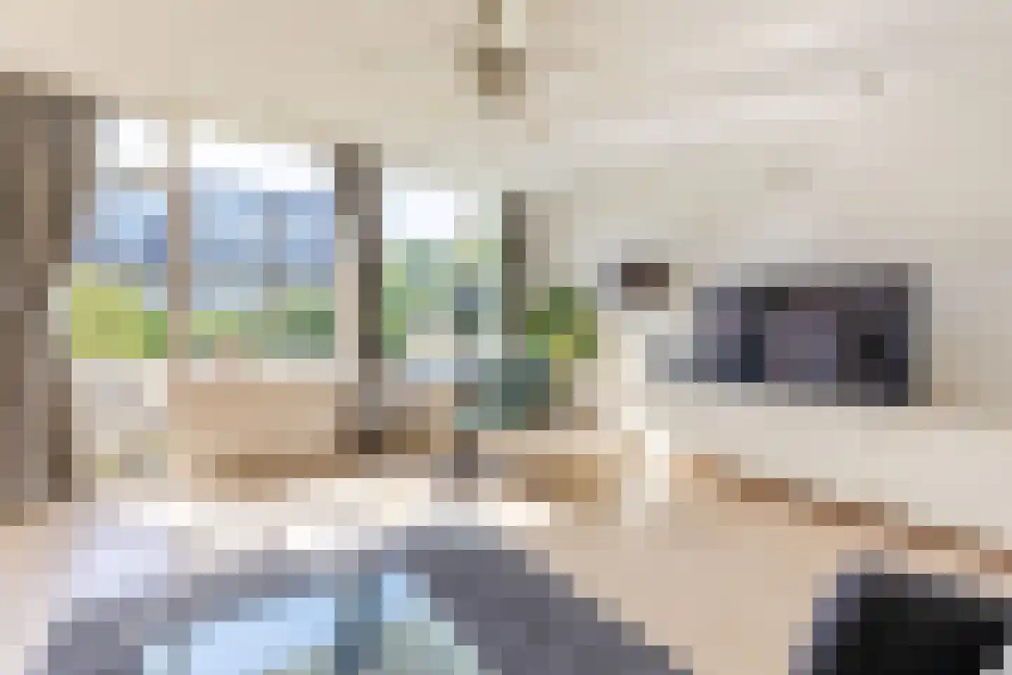 Ir Leemansstraat 11 Nieuwerkerk aan den IJssel thumbnail 18