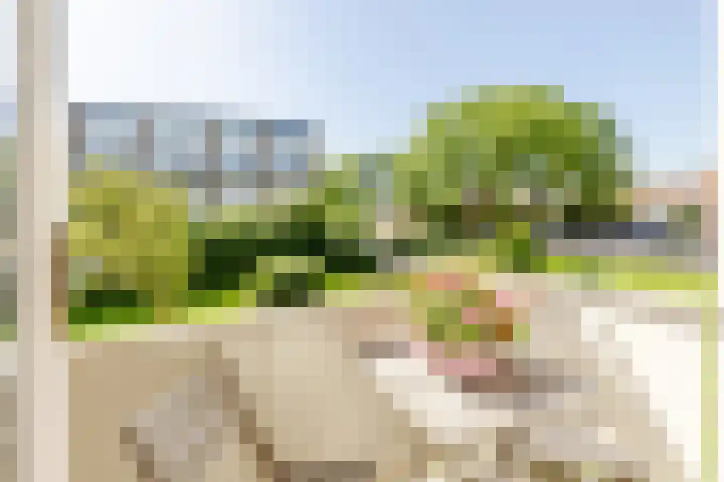 Ir Leemansstraat 11 Nieuwerkerk aan den IJssel thumbnail 22