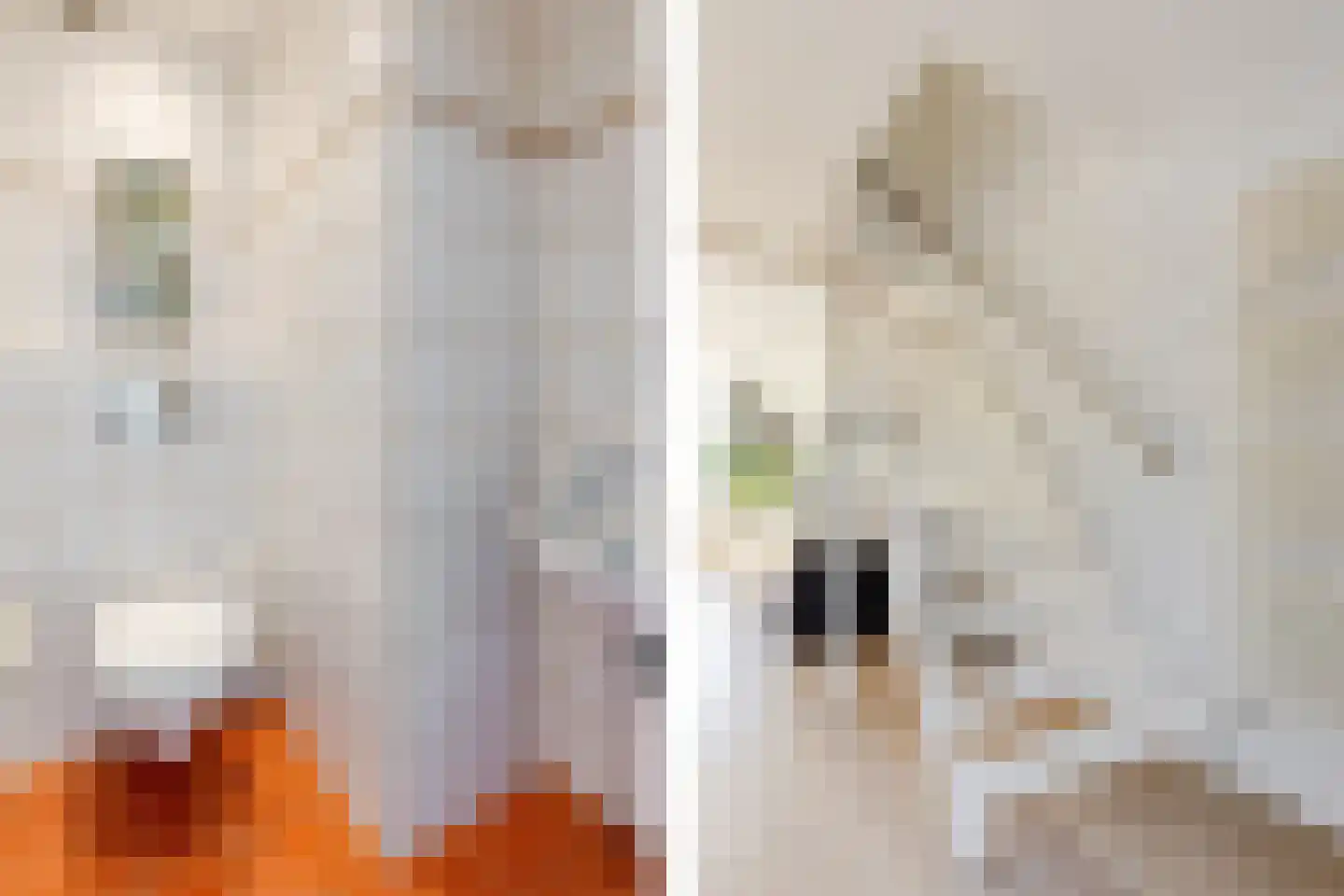 Ir Leemansstraat 11 Nieuwerkerk aan den IJssel thumbnail 24