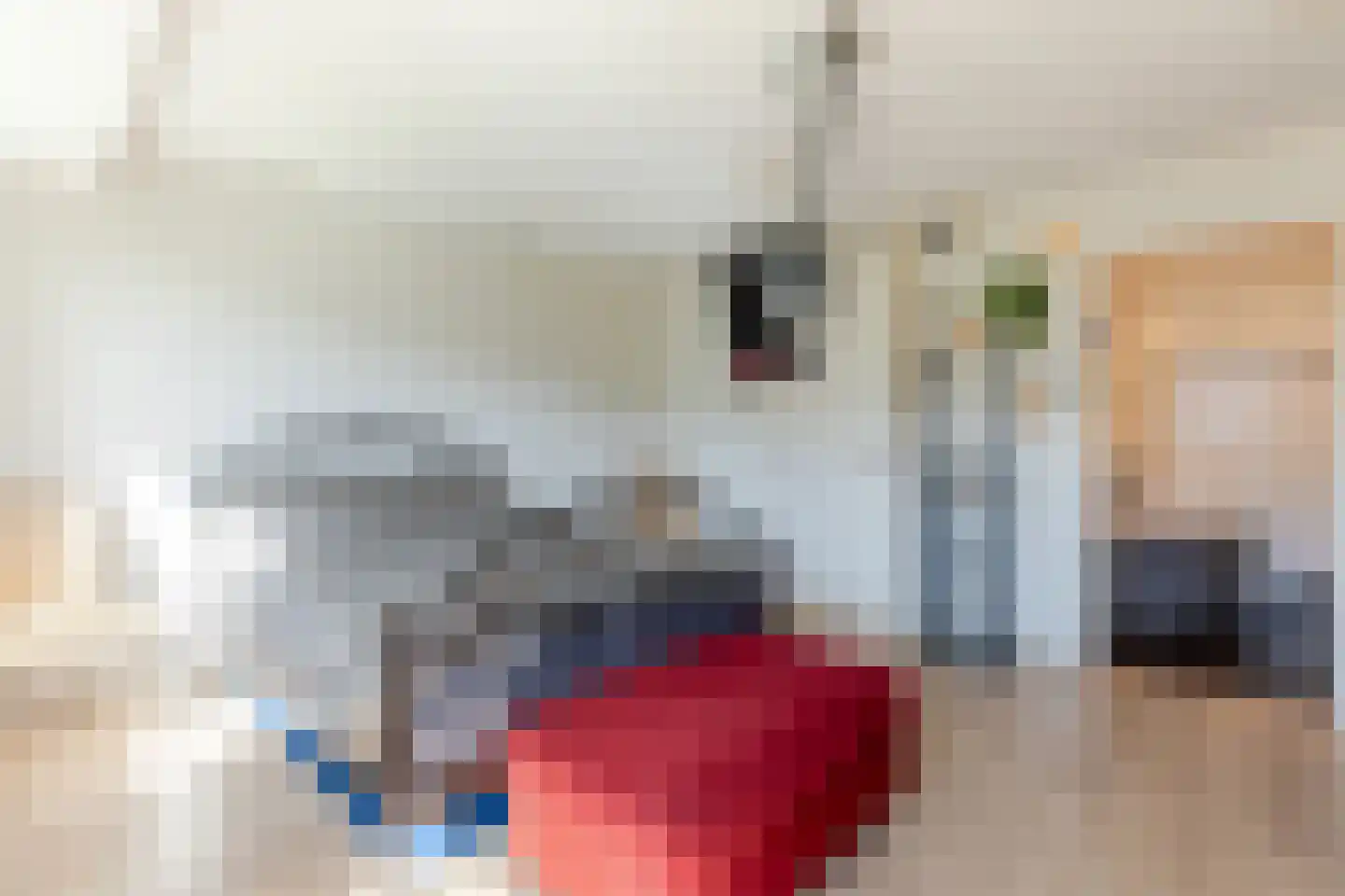 Ir Leemansstraat 11 Nieuwerkerk aan den IJssel thumbnail 26