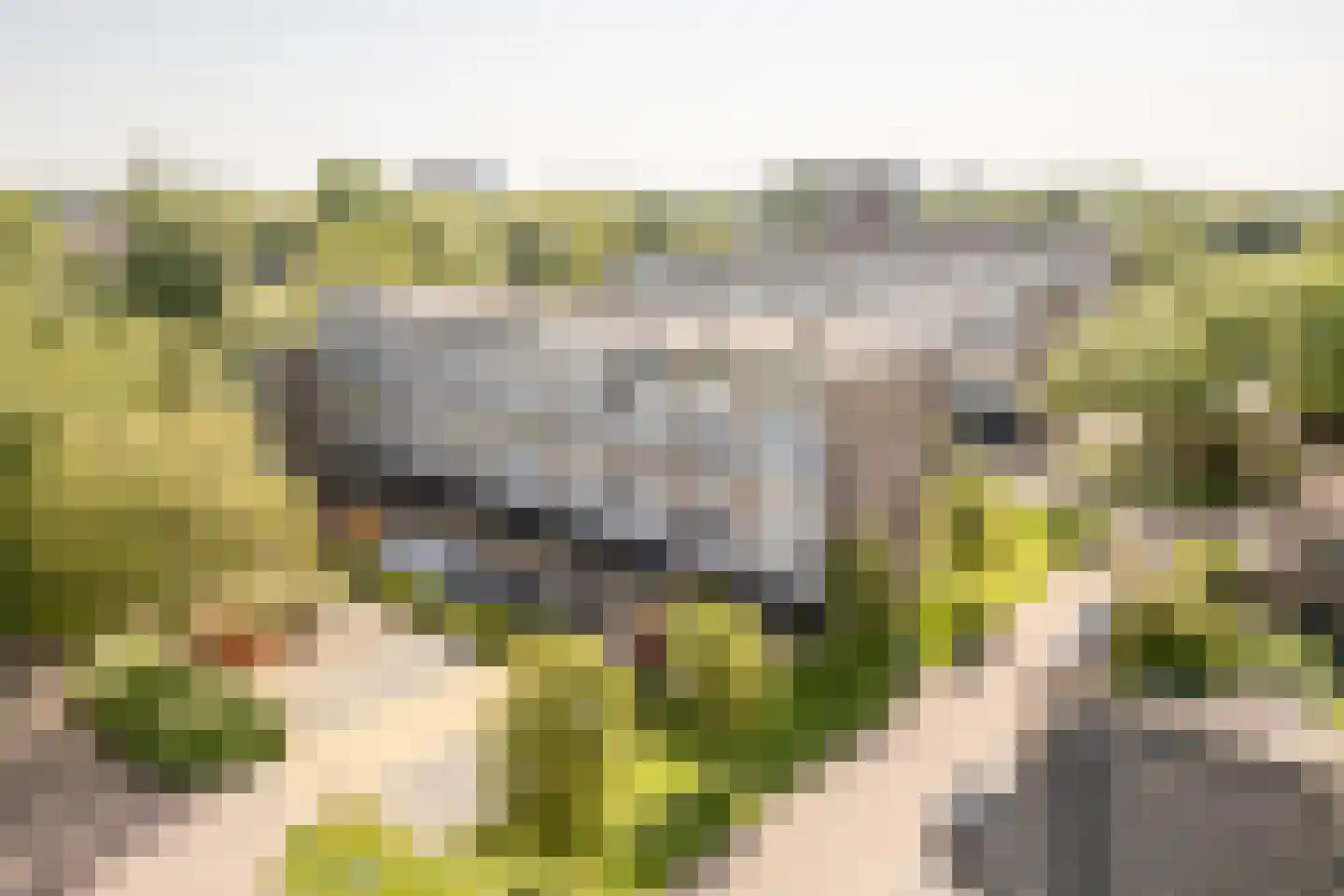 Ir Leemansstraat 11 Nieuwerkerk aan den IJssel thumbnail 34