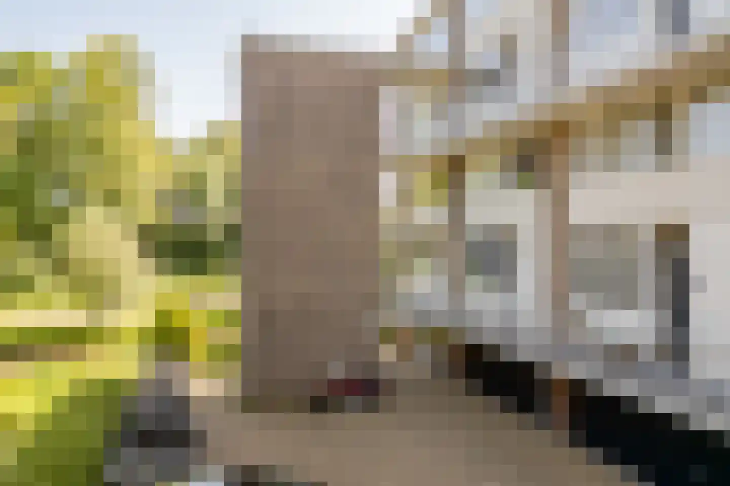 Ir Leemansstraat 11 Nieuwerkerk aan den IJssel thumbnail 40