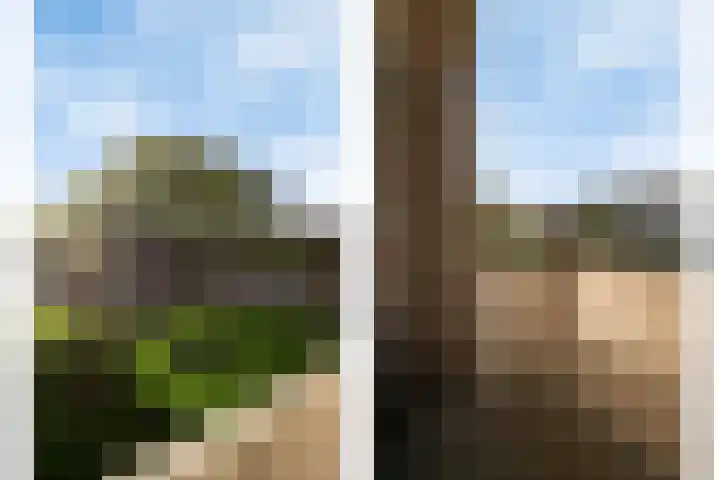 Ir Leemansstraat 15 Nieuwerkerk aan den IJssel thumbnail 13