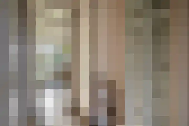 Ir Leemansstraat 15 Nieuwerkerk aan den IJssel thumbnail 17
