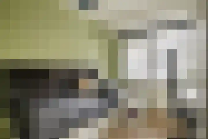 Ir Leemansstraat 15 Nieuwerkerk aan den IJssel thumbnail 22