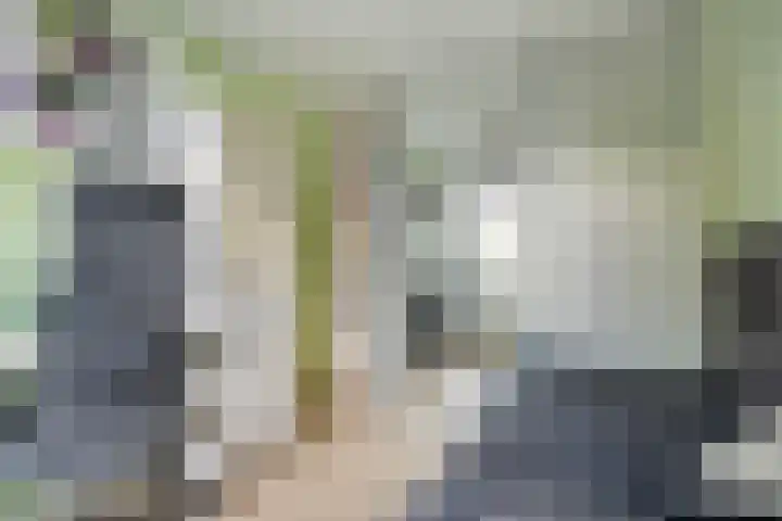 Ir Leemansstraat 15 Nieuwerkerk aan den IJssel thumbnail 23