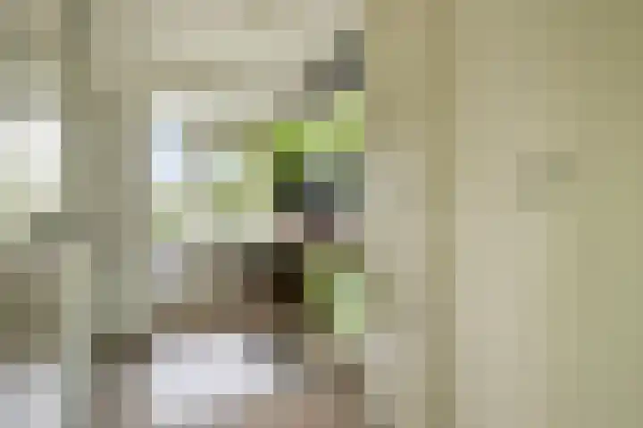 Ir Leemansstraat 15 Nieuwerkerk aan den IJssel thumbnail 24