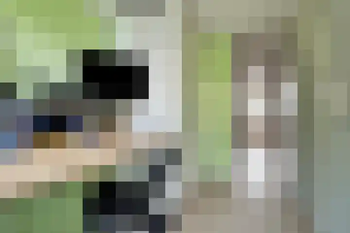Ir Leemansstraat 15 Nieuwerkerk aan den IJssel thumbnail 25