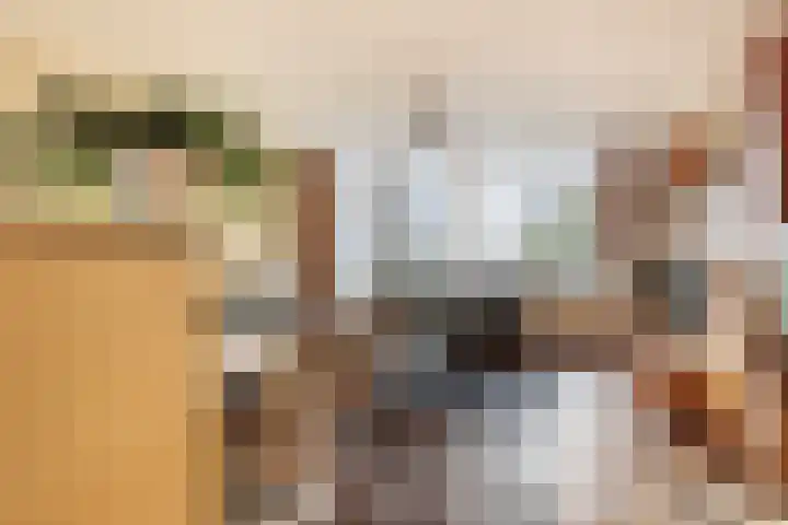 Ir Leemansstraat 15 Nieuwerkerk aan den IJssel thumbnail 7