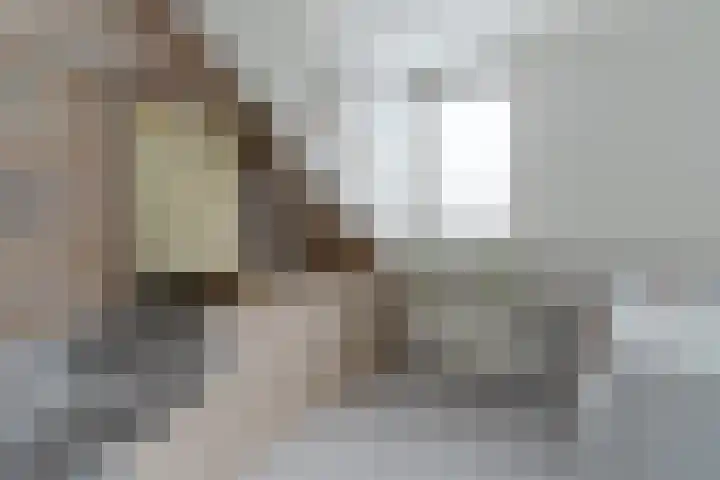 Ir. Leemansstraat 31 Harderwijk thumbnail 18