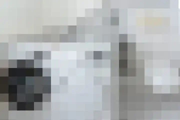 Ir. Leemansstraat 31 Harderwijk thumbnail 19