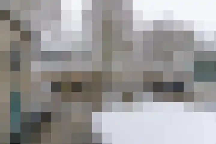 Ir. Leemansstraat 31 Harderwijk thumbnail 22