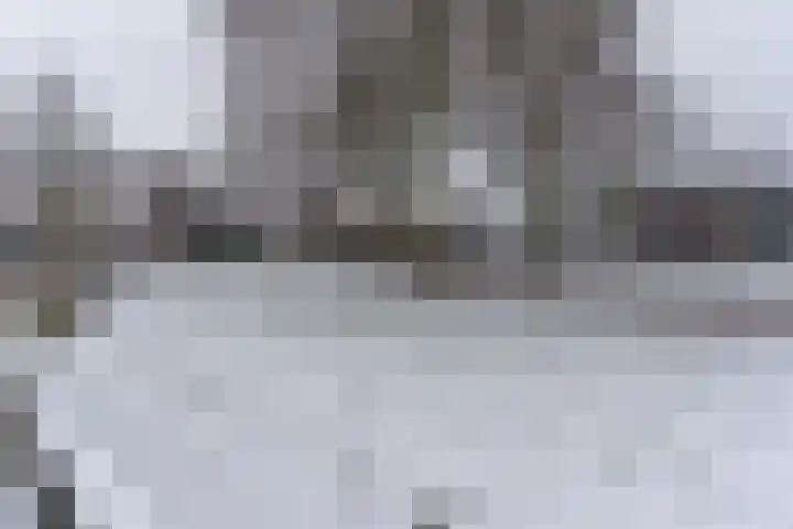 Ir. Leemansstraat 31 Harderwijk thumbnail 24