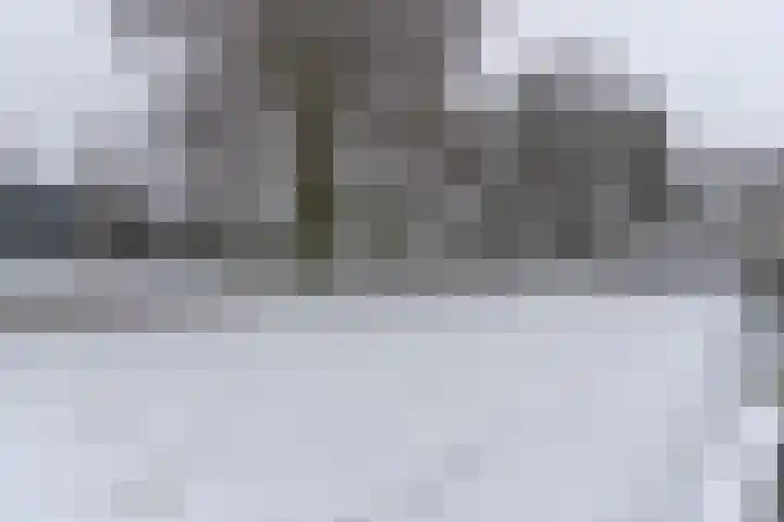 Ir. Leemansstraat 31 Harderwijk thumbnail 25