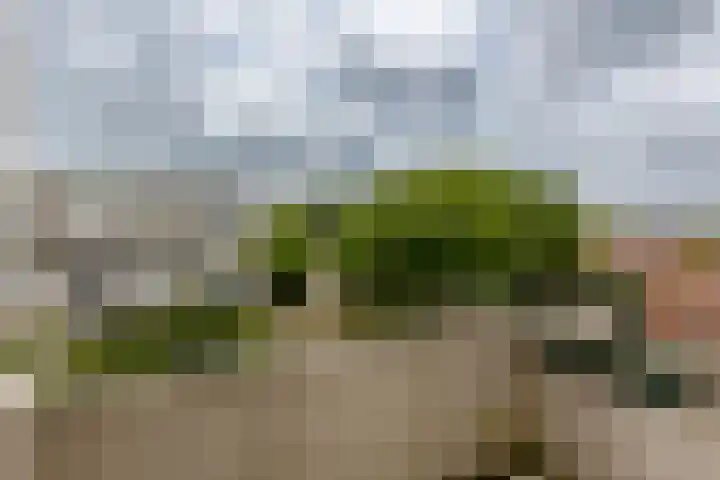 Ir Leemansstraat 31 Nieuwerkerk aan den IJssel thumbnail 10