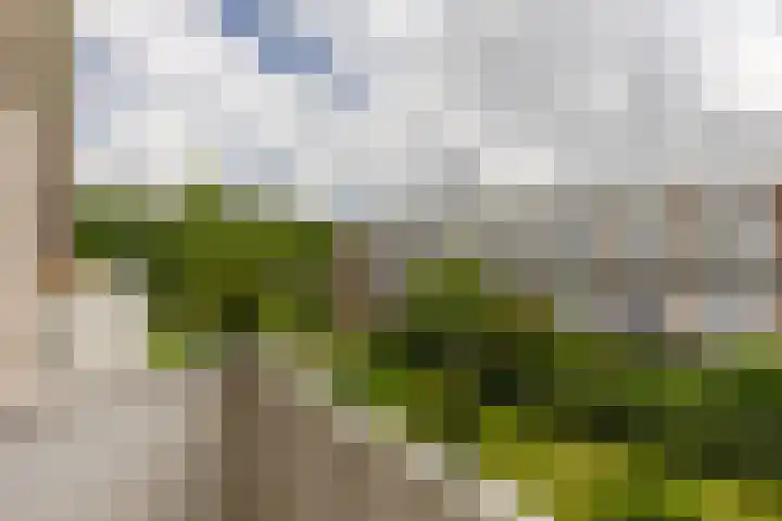 Ir Leemansstraat 31 Nieuwerkerk aan den IJssel thumbnail 11