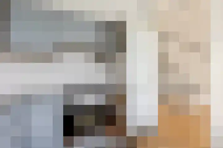 Ir Leemansstraat 31 Nieuwerkerk aan den IJssel thumbnail 13