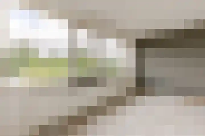 Ir Leemansstraat 31 Nieuwerkerk aan den IJssel thumbnail 21