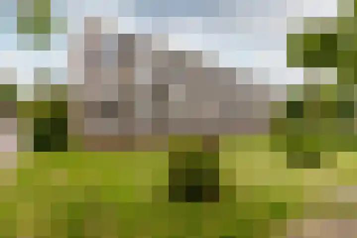 Ir Leemansstraat 31 Nieuwerkerk aan den IJssel thumbnail 23